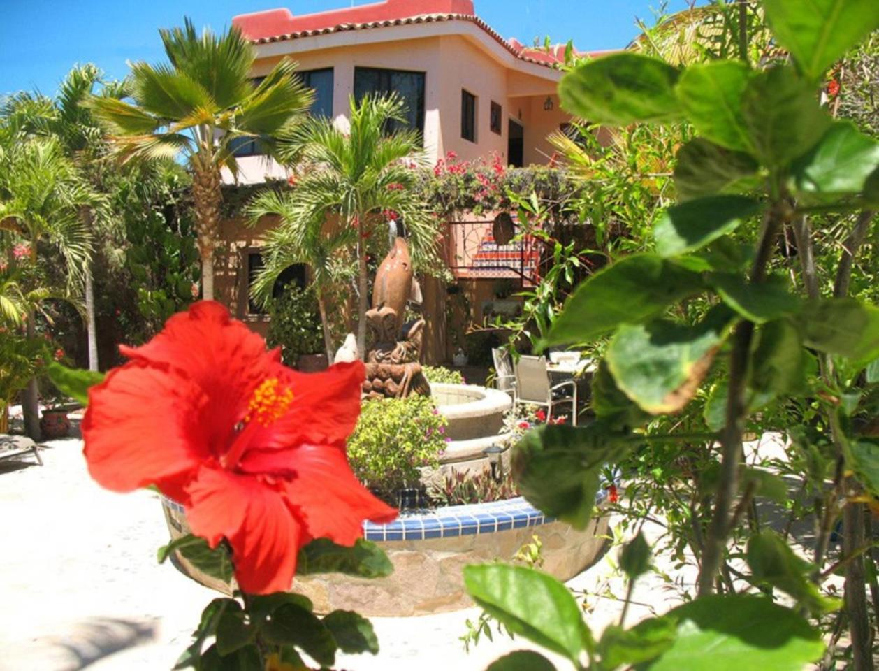 Hacienda De Palmas Bed and Breakfast La Ribera Buitenkant foto
